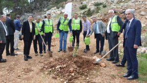 BAİB, mermer ocağını rehabilite ederek, ağaçlandırdı