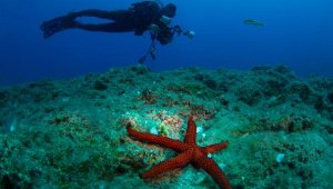 Uluslararası Kemer Sualtı Günleri başlıyor