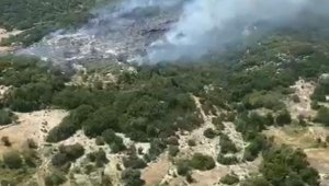 Antalya'da orman yangını; 1 saatte söndürüldü