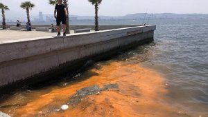 İzmir Körfezi'nde 'kırmızı- turuncu renk' uyarısı