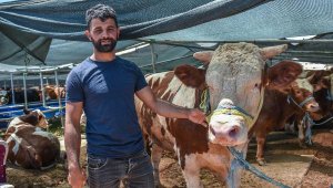 Kepez'de kurban satış ve kesim noktaları hazır