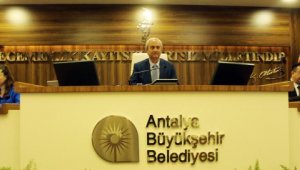 Prof. Dr. Çetin: Yağışlar sürerse tüm Türkiye'de sivrisinek problemi devam edecek