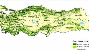 Türkiye'nin en yeşil kentleri