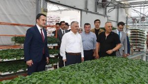Vali Yazıcı: Antalya, fide üretiminde tüm dünyaya hizmet ediyor