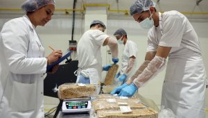 1 yılda 9 milyon ekmek sofrayla buluştu