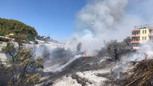 Alanya'da çalılık yangını