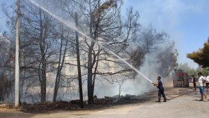 Antalya'da ağaçlık alandaki yangın, evlere ulaşmadan söndürüldü