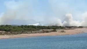 Antalya'da orman yangını