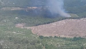 Antalya'da orman yangınında 1 hektar alan kül oldu