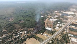 Antalya'nın 2 ilçesinde orman yangını