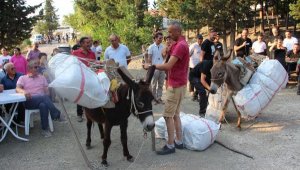 Bayram festivalinde eşeğe saman yükleme yarışması ilgi gördü