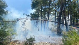 Finike'de orman yangını