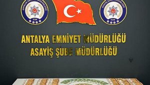 Otel hırsızı yakalandı