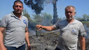 Sazlık yangını seralara sıçramadan söndürüldü