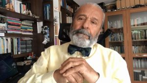 'Ormanlardaki kuru yapraklar, kömüre eş değer enerji üretme potansiyeline sahip'