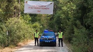 Alanya'da orman alanları denetlendi