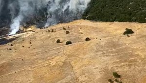 Antalya'da orman yangını