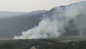 Antalya'da orman yangını