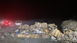 Ayıların çöpte besin mücadelesi, 'seyirlik' oldu