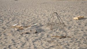 Caretta yuvası üzerinde mangal yakan 2 kişiye para cezası