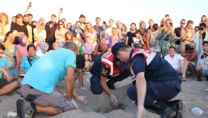 Çıralı'da caretta caretta turizmi
