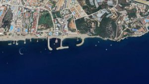 Isınan deniz suyu, 'Akdeniz'in ciğerleri'ni kavuruyor