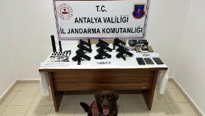 Manavgat'ta silah kaçakçılığı operasyonu