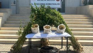 Serik'te jandarmadan uyuşturucu operasyonu