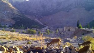 Taş ocağının bozduğu alanlara yaban hayvanları için can suyu havuzu
