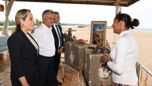Vali Yazıcı'nın adını taşıyan yuvadaki yavru carettalar 52 gün sonra çıktı