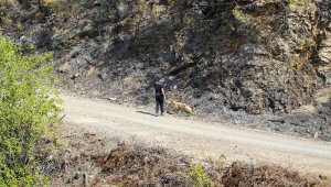 Alanya'daki orman yangınında 2'nci gün