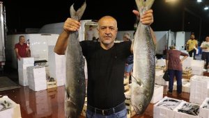 Antalya halinde balık, tavuk ve kırmızı etten ucuz