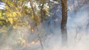 Antalya'da orman yangını