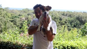 Falezlerden düşen köpek, kurtarma ekibinden kaçıp, yukarı kendisi çıktı