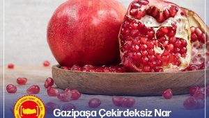 Gazipaşa Çekirdeksiz Narı'na 'Coğrafi İşaret' tescili