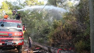 Kemer'de orman yangını büyümeden söndürüldü