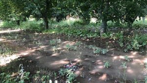 Kritik seviye altına inen gölden 'vahşi sulama' devam ediyor