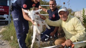 Kuyuya düşen oğlağı itfaiye kurtardı
