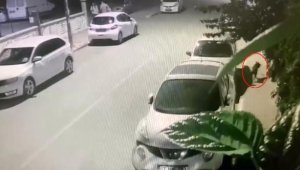 Pitbull saldırısında dehşeti yaşadı
