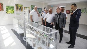 Türkiye, Azerbaycan'ın ekonomik bölgesine rol model