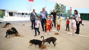 Başkan ve öğrenciler hayvanları besledi