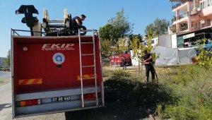 Gazipaşa'da bahçe yangını