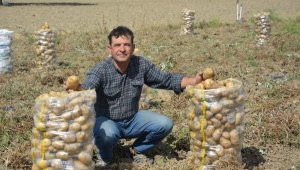 Korkuteli'de patates hasadı sona erdi