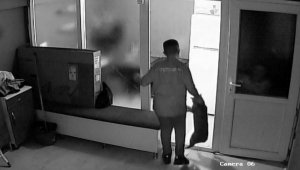 Kuaför çırağı, iş yeri sahibinin kedisini darbetti; o anlar kamerada