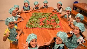 Minik eller, parkta yetişen zeytinleri işledi