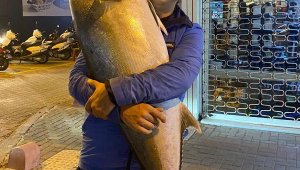 Amatör balıkçı, olta ile 41 kiloluk akya yakaladı