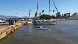 Antalya'da fırtına; ağaçlar devrildi, tekne battı