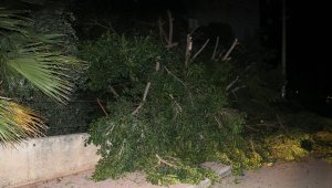 Antalya'da fırtına hayatı olumsuz etkilemeye devam ediyor