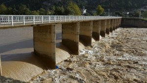 Antalya'da şiddetli yağış ve fırtına; tekneler battı, ağaçlar devrildi