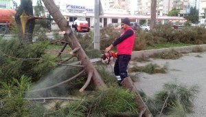 Büyükşehir ekiplerinin fırtına mesaisi